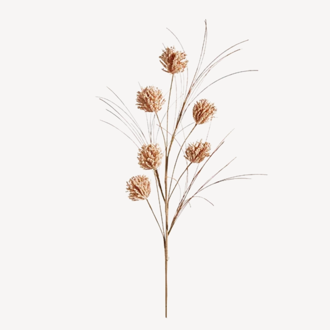 Set/4 Dried Pom Pom Sprays xl flower pot  