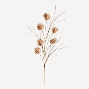 Set/4 Dried Pom Pom Sprays xl flower pot  