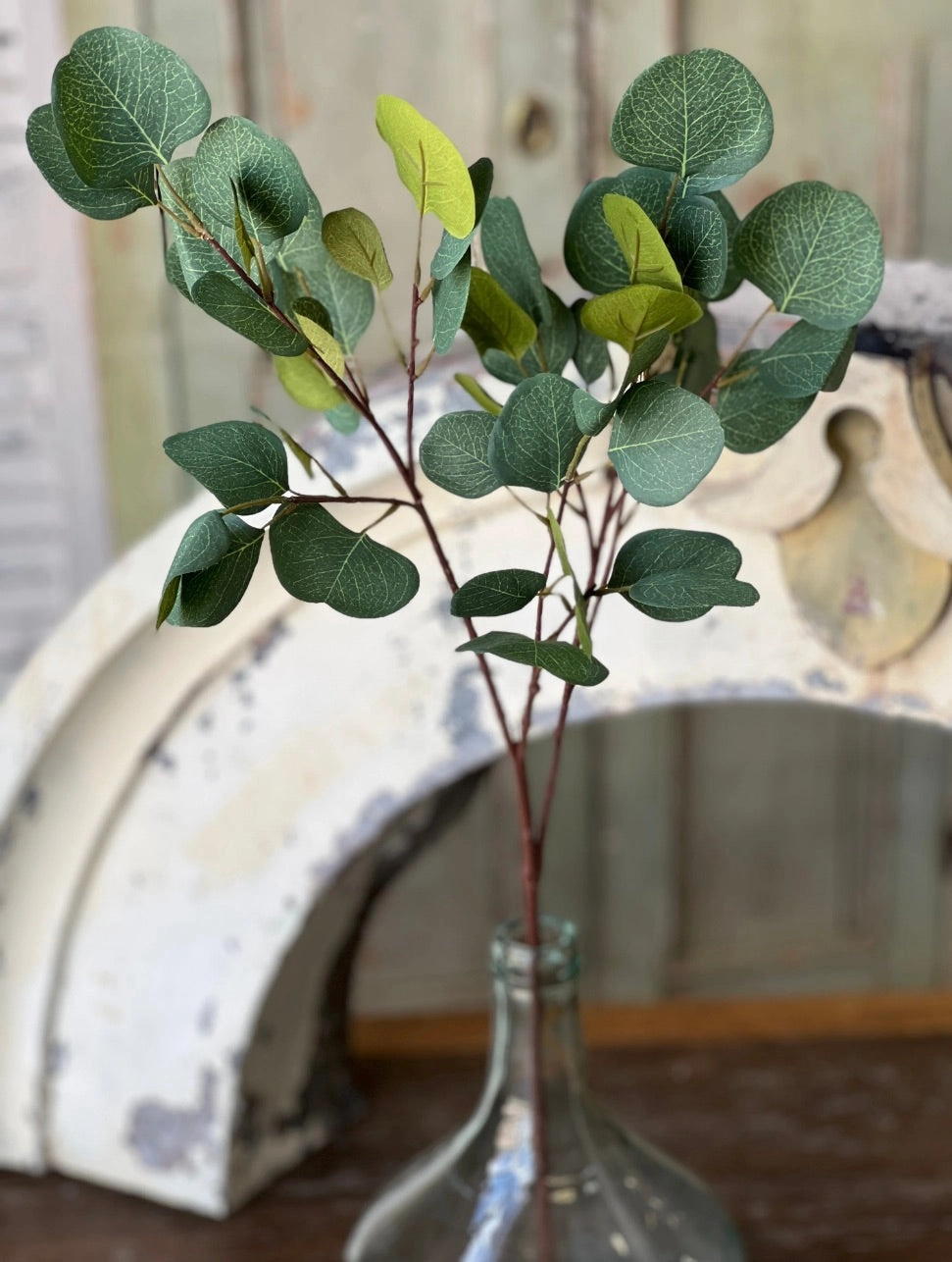 Set/4 Eucalyptus Sprays