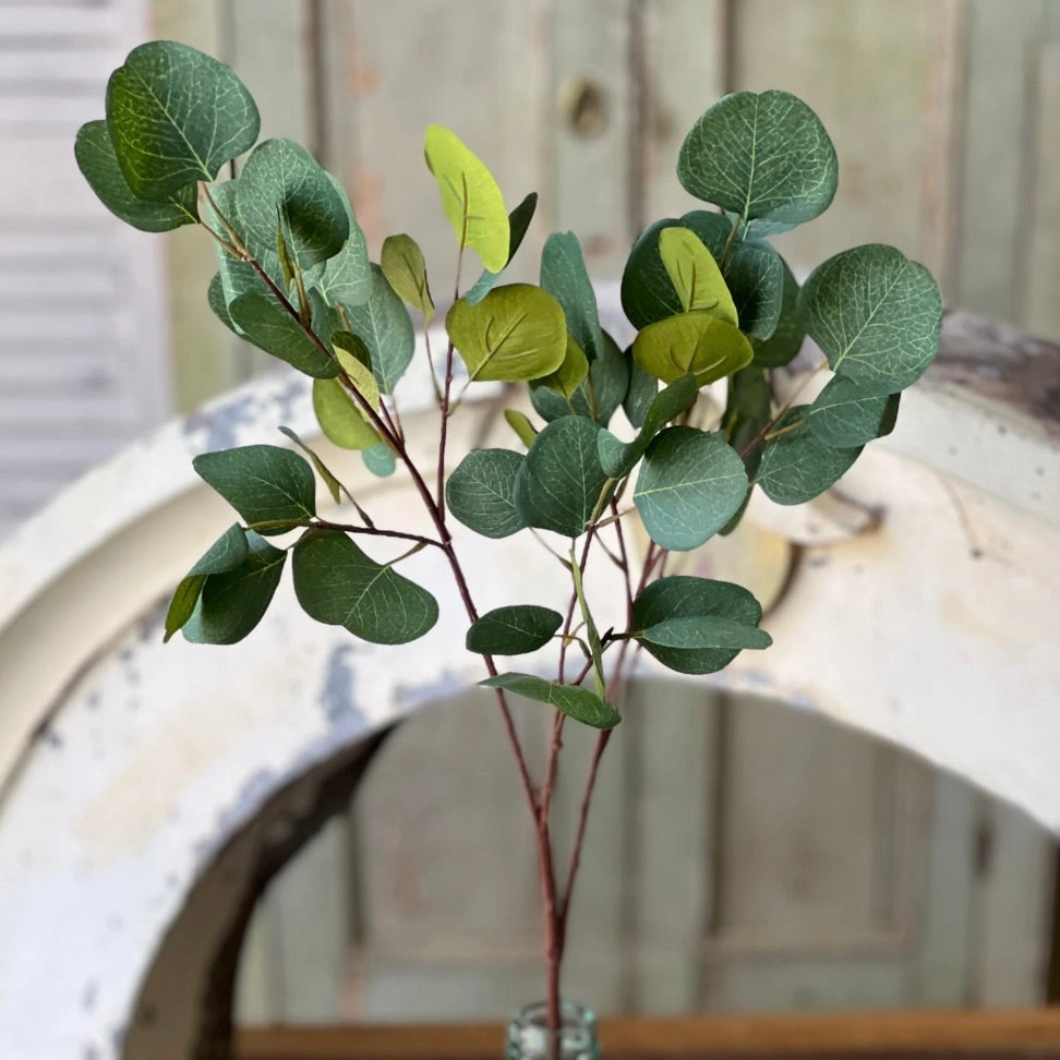 Set/4 Eucalyptus Sprays