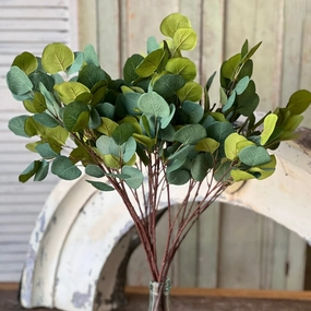 Set/4 Eucalyptus Sprays xl flower pot  