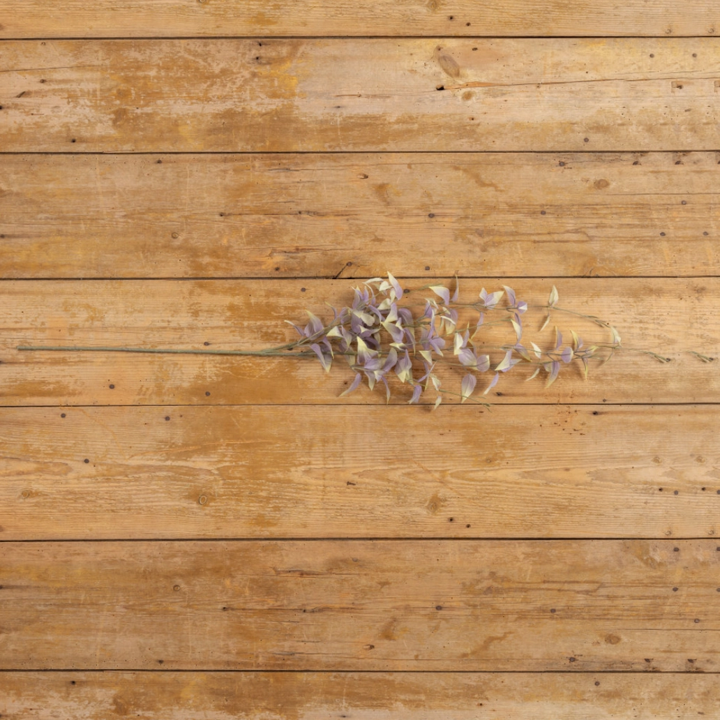 Set/5 Dusty Purple Weeping Leaf Sprays