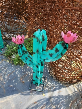 Set of 3 Cactus cactus succulent plant  