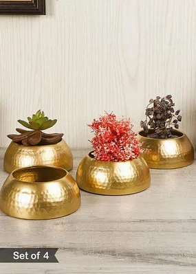 Set of 4 Bowl Shape Planters hanging green plant  