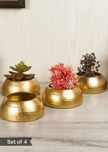Set of 4 Bowl Shape Planters cactus succulent plant  