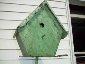 Shingle Bird House with Clean Out & Stake dried flower branch  