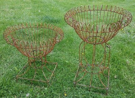 Short Round Basket Stand cactus succulent plant  