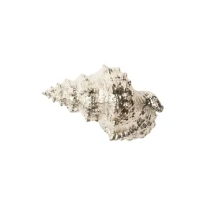 Silver Dipped Decorative Bursa Shells dried flowers  