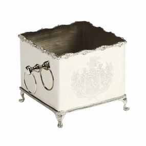 Silver Hued Brass Box Planter with Legs and Engraving Detail plant seeds  