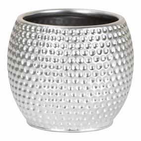 Silver Indoor Ceramic Cover Pot Platinum Silver (732) tall green plant  