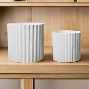 Simone Pot White plant seeds  