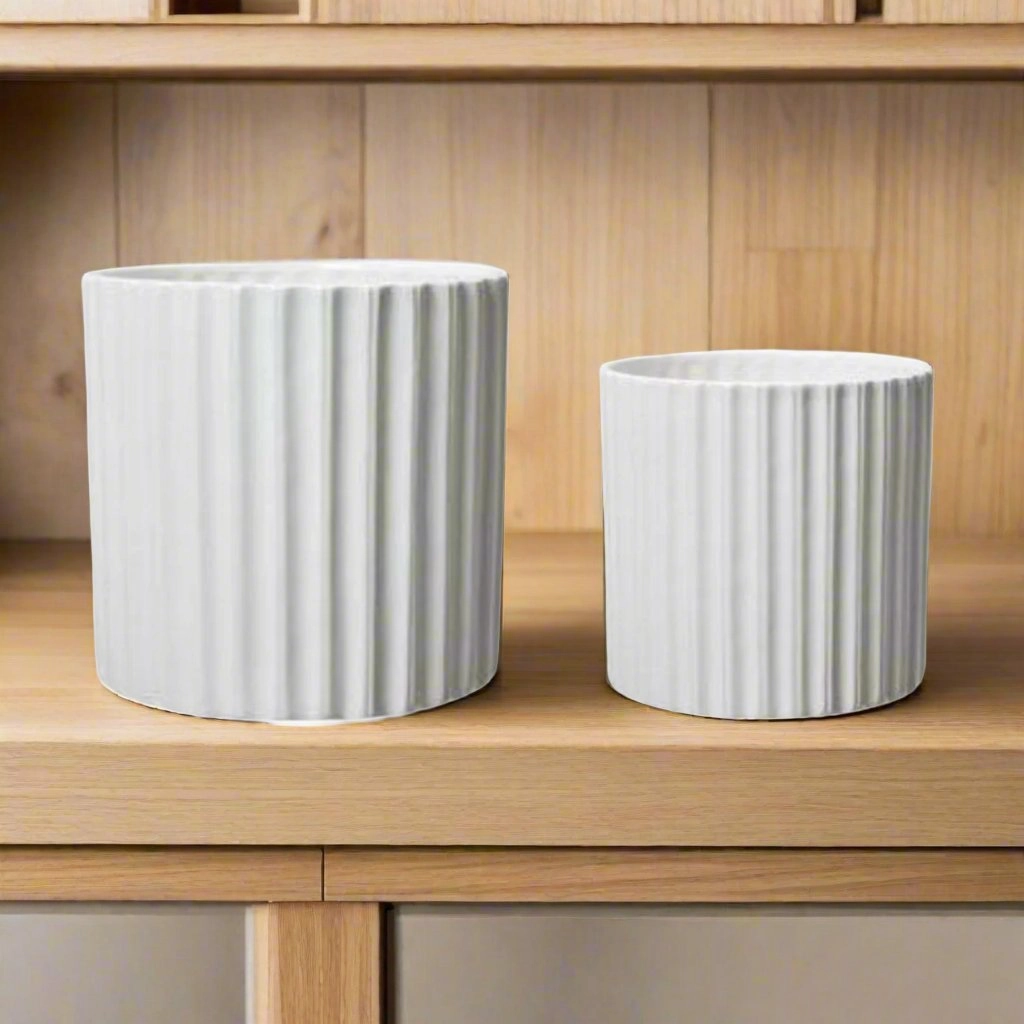 Simone Pot White plant seeds  