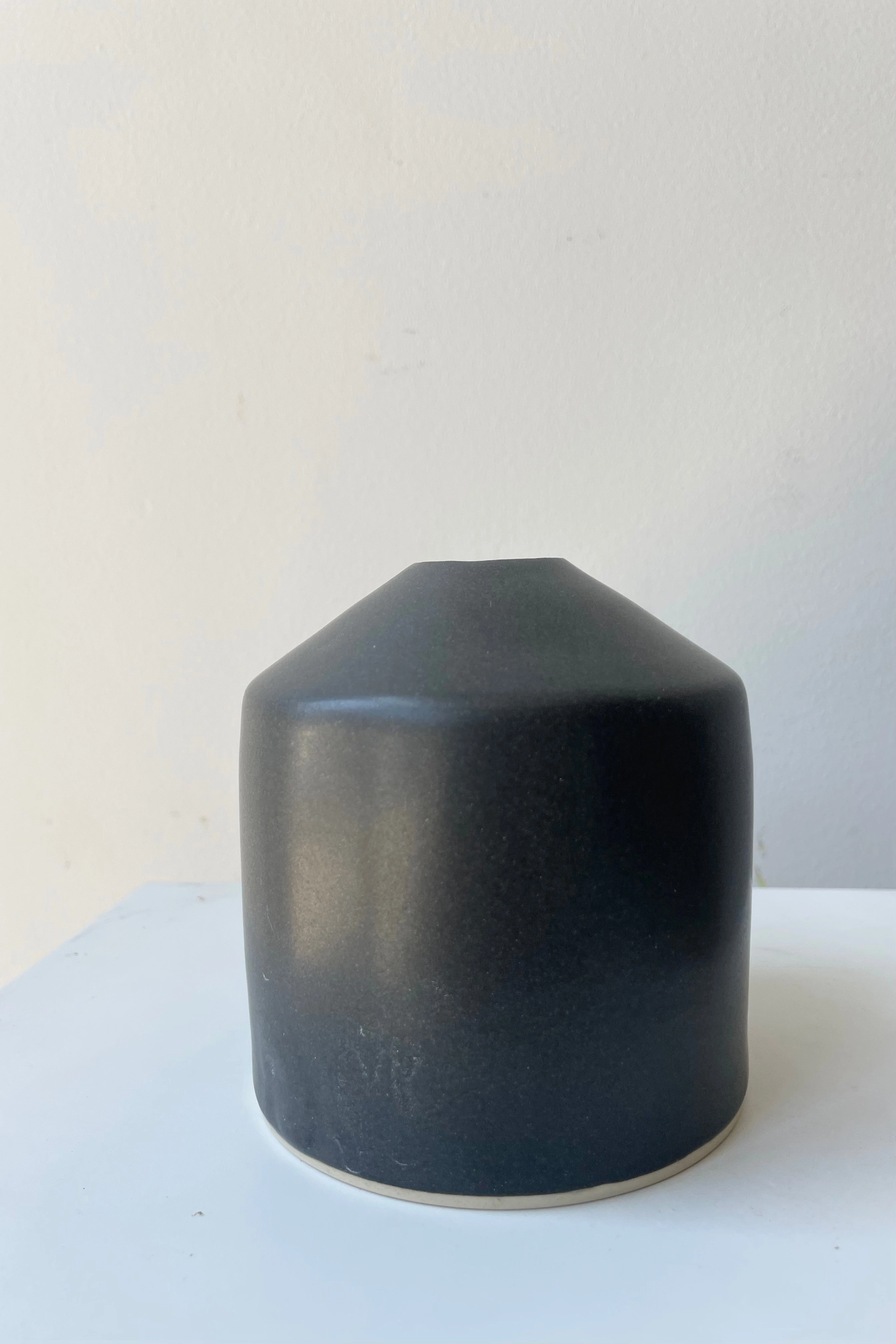Siros Vase Black dried green plant  