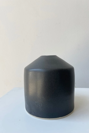 Siros Vase Black dried green plant  
