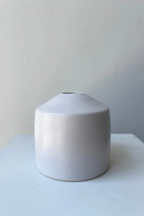 Siros Vase White dried green plant  