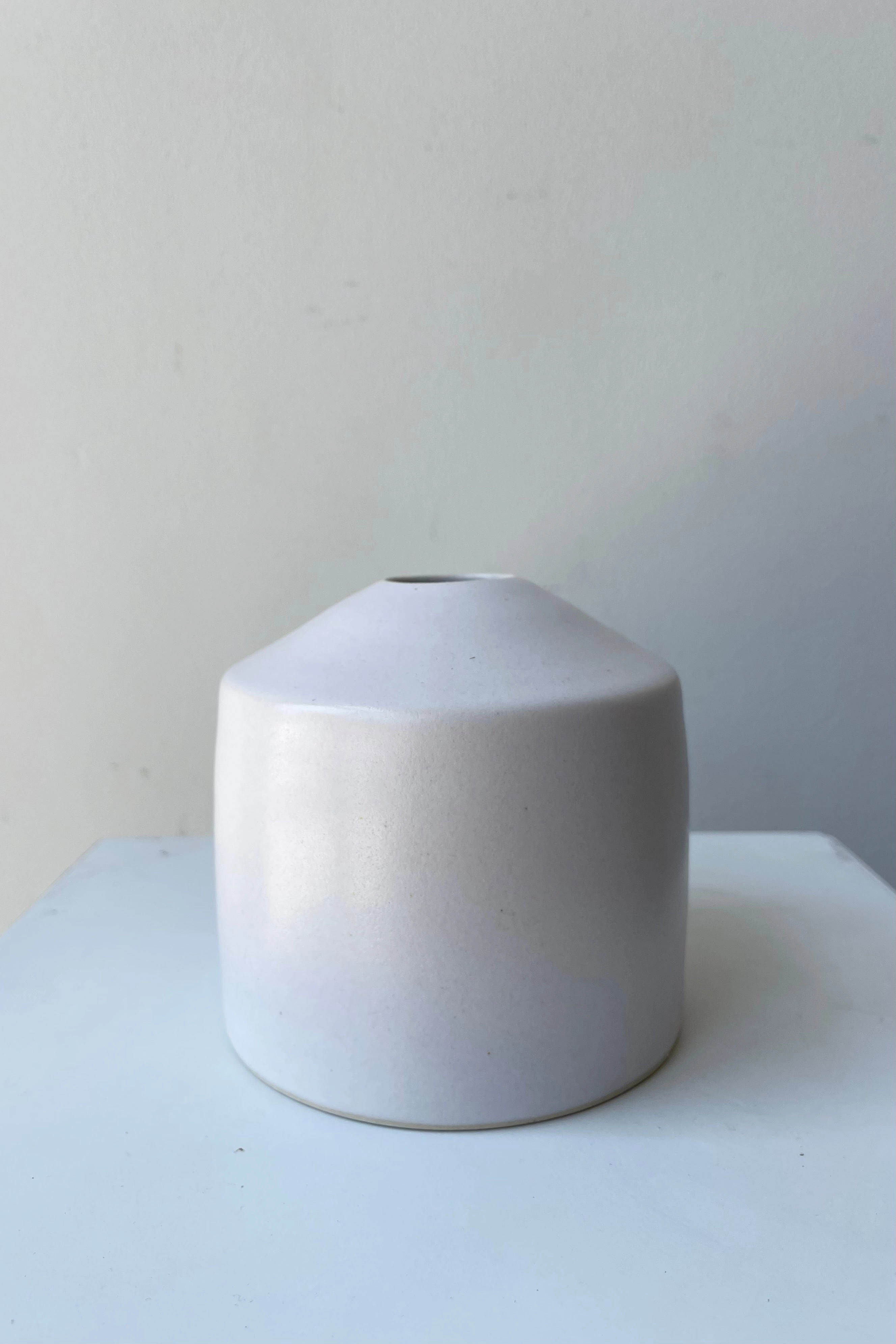 Siros Vase White dried green plant  
