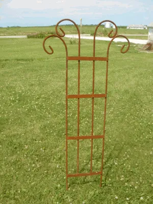 SM. 8 SPIN TRELLIS dried flower branch  