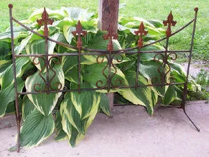 SM. HOOPSWAY FENCE W/LEGS dried flower branch  