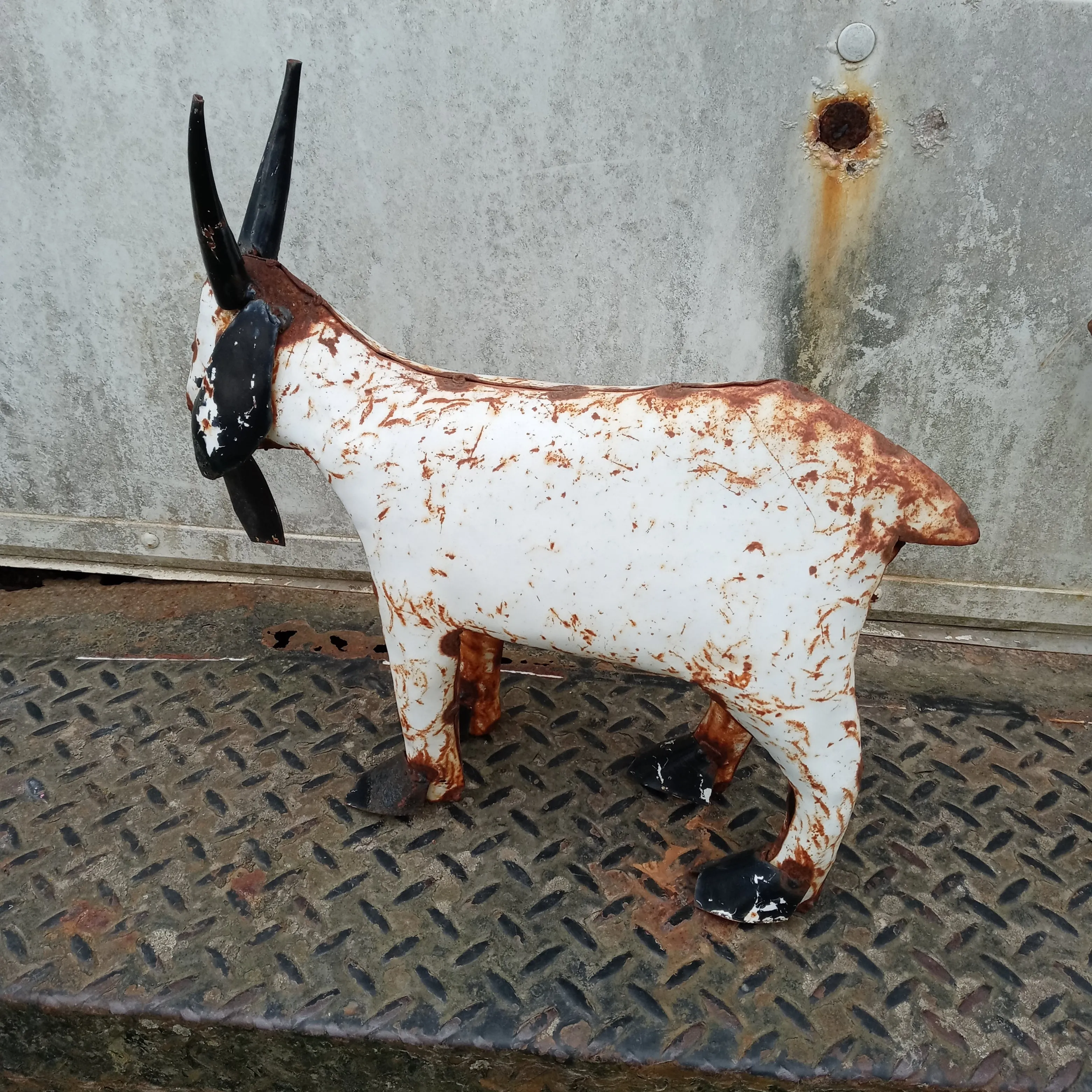 Sm. Tin Goat