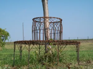 Small English Tree Bench dried flower branch  