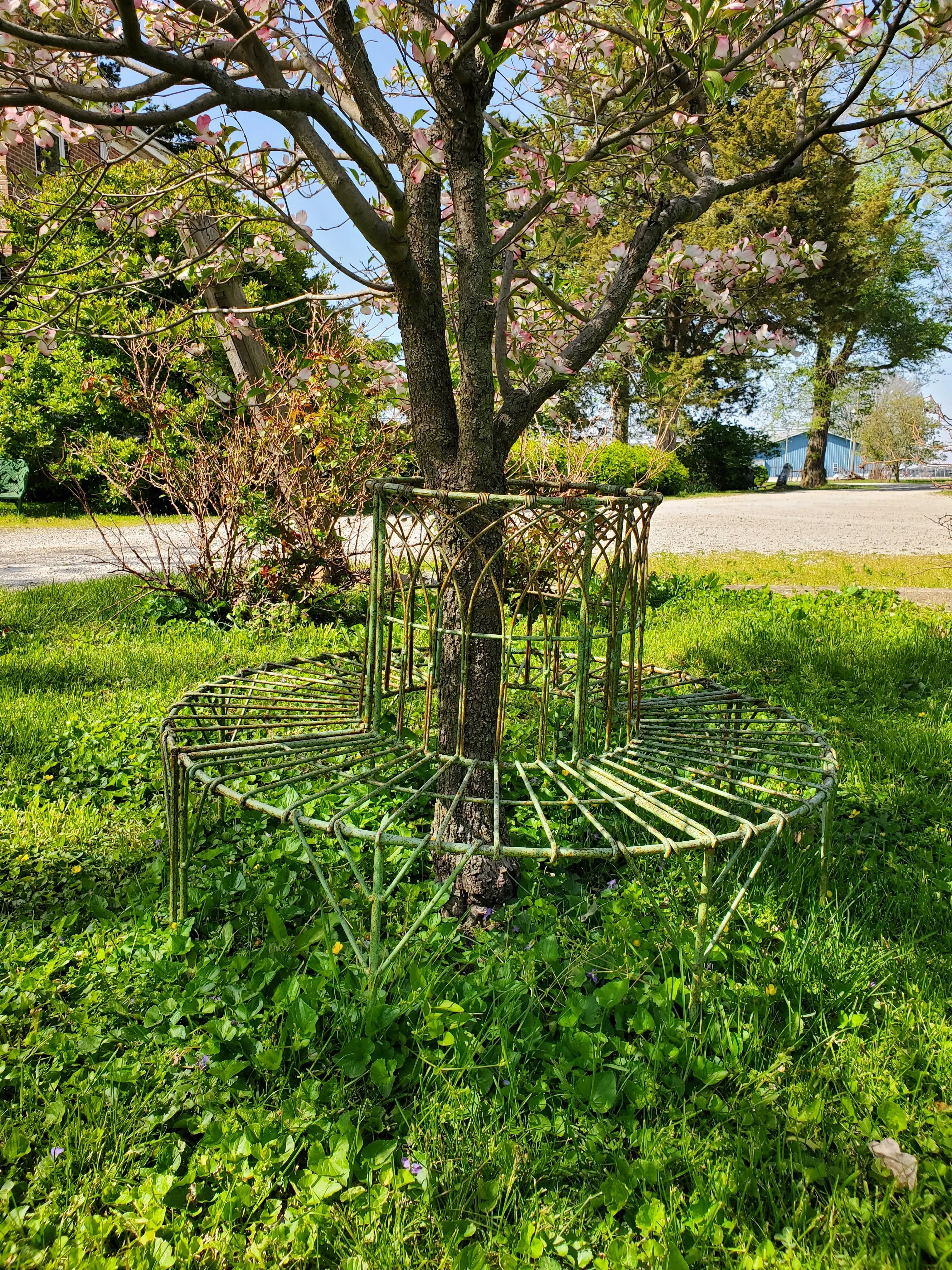 Small English Tree Bench
