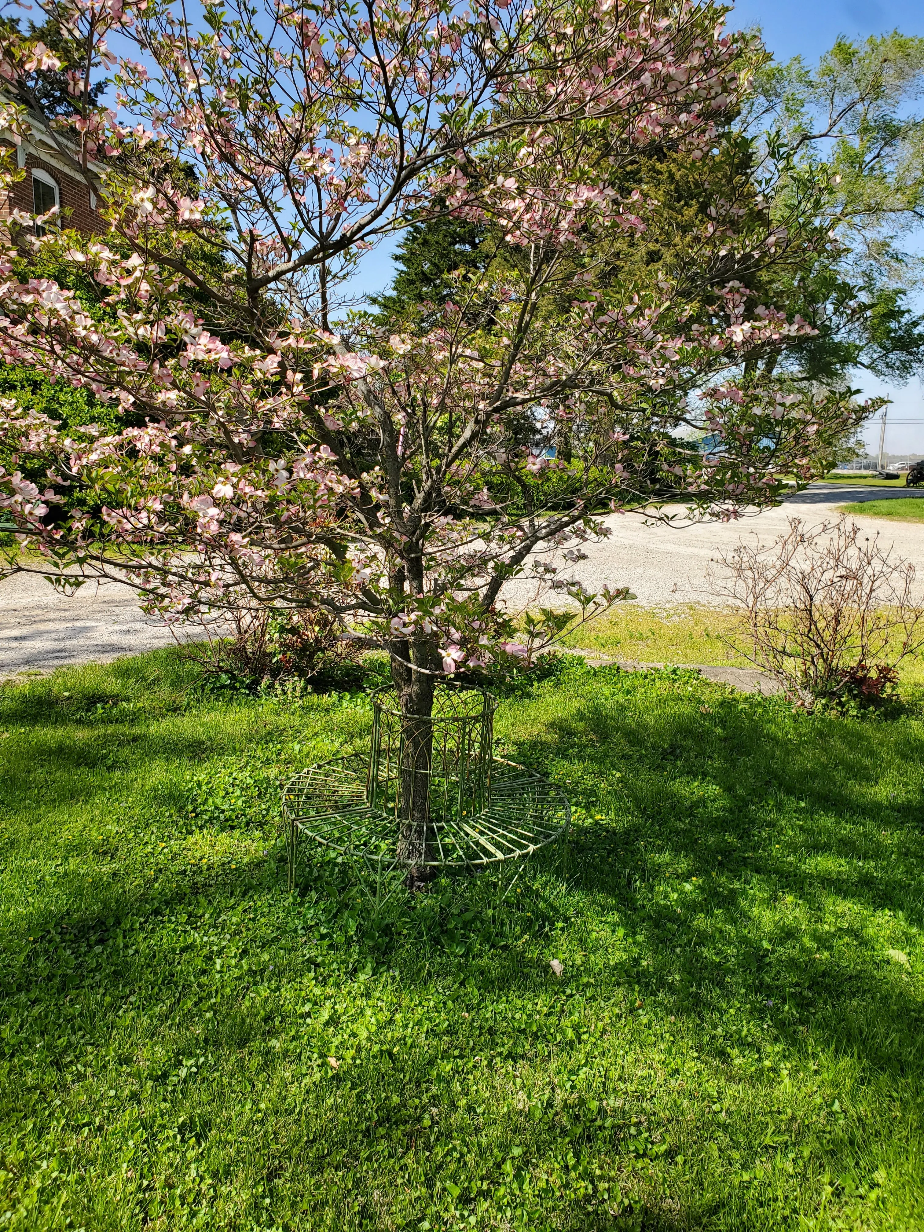 Small English Tree Bench