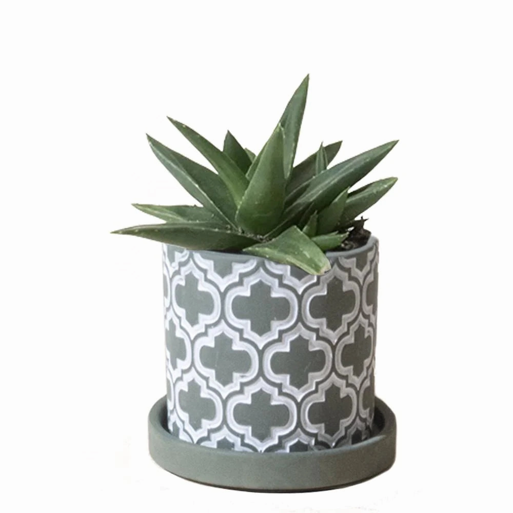 Small Balter Pot & Saucer