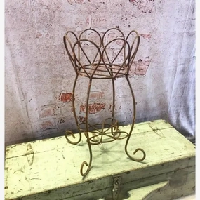 Small Daisey Planter Stand cactus succulent plant  