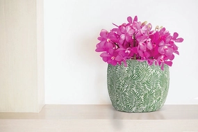 Small Green Leaf Planter - 5"D plant seeds  