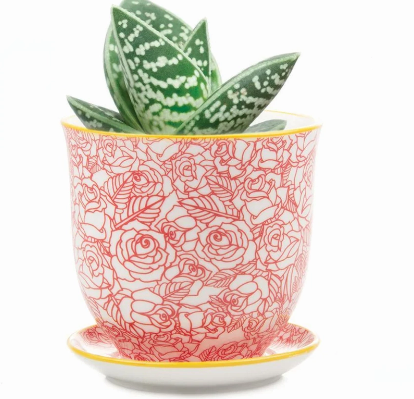 Small Liberte Pot & Saucer