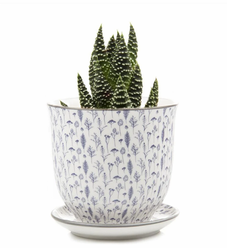 Small Liberte Pot & Saucer