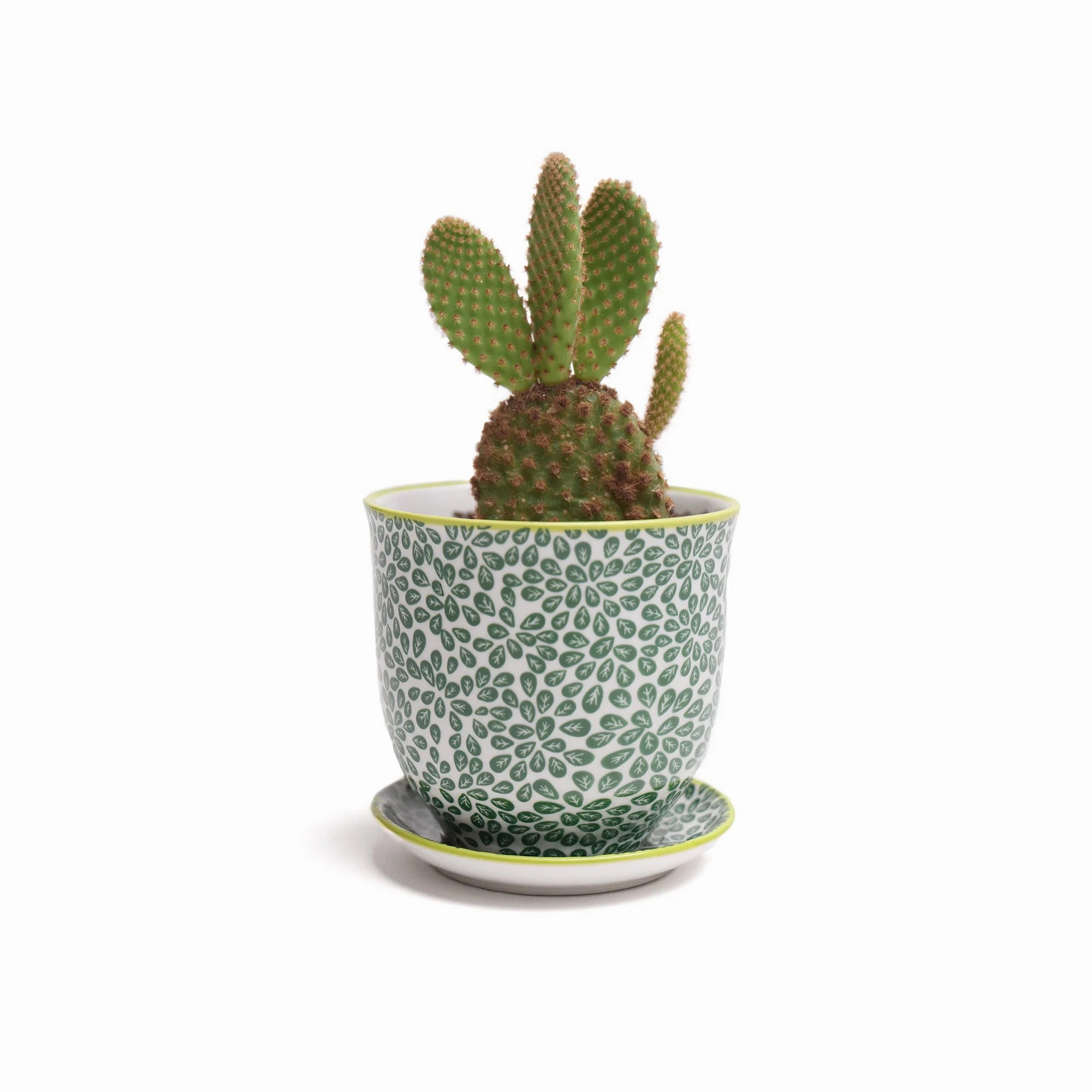 Small Liberte Pot & Saucer