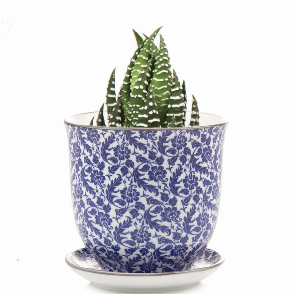 Small Liberte Pot & Saucer