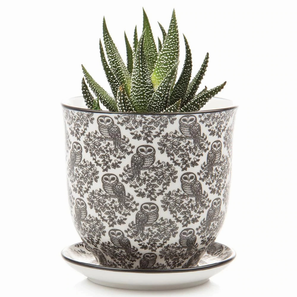 Small Liberte Pot & Saucer