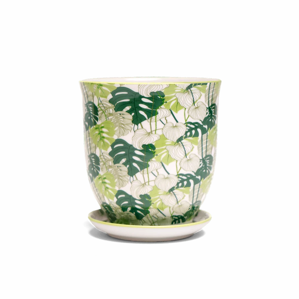 Small Liberte Pot & Saucer