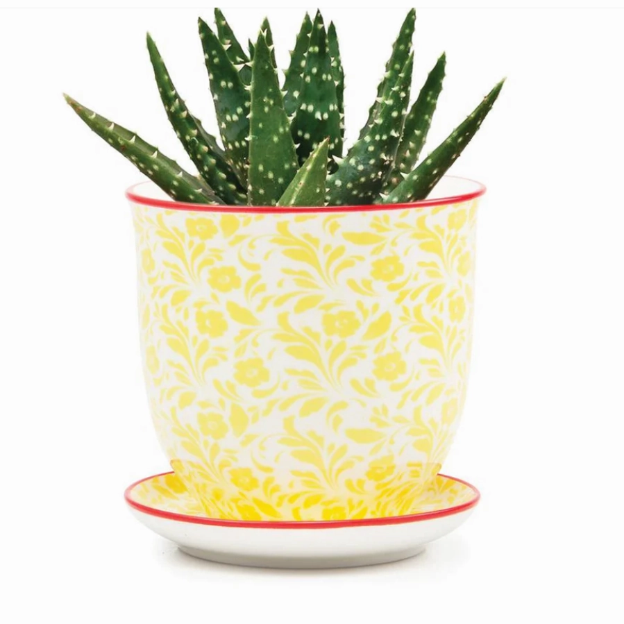 Small Liberte Pot & Saucer
