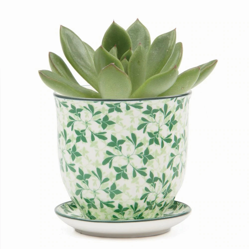 Small Liberte Pot & Saucer