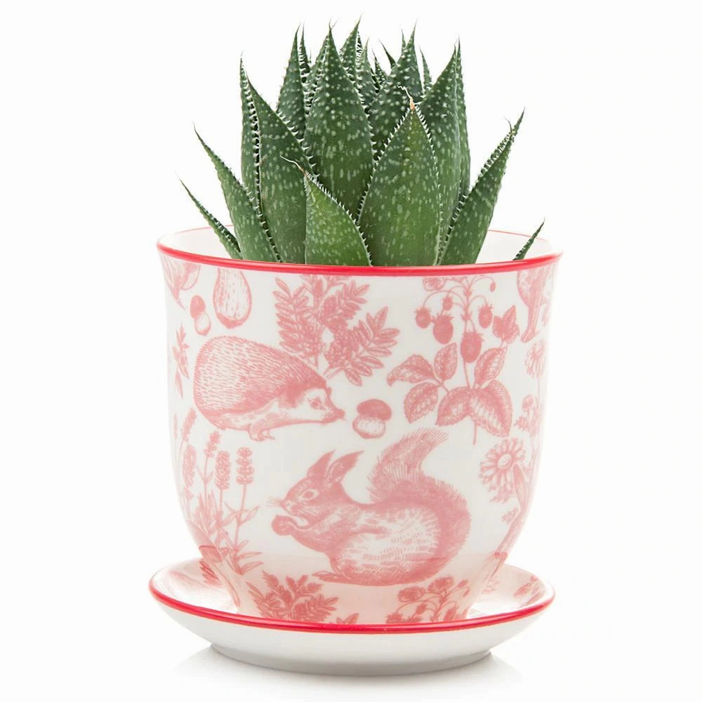 Small Liberte Pot & Saucer