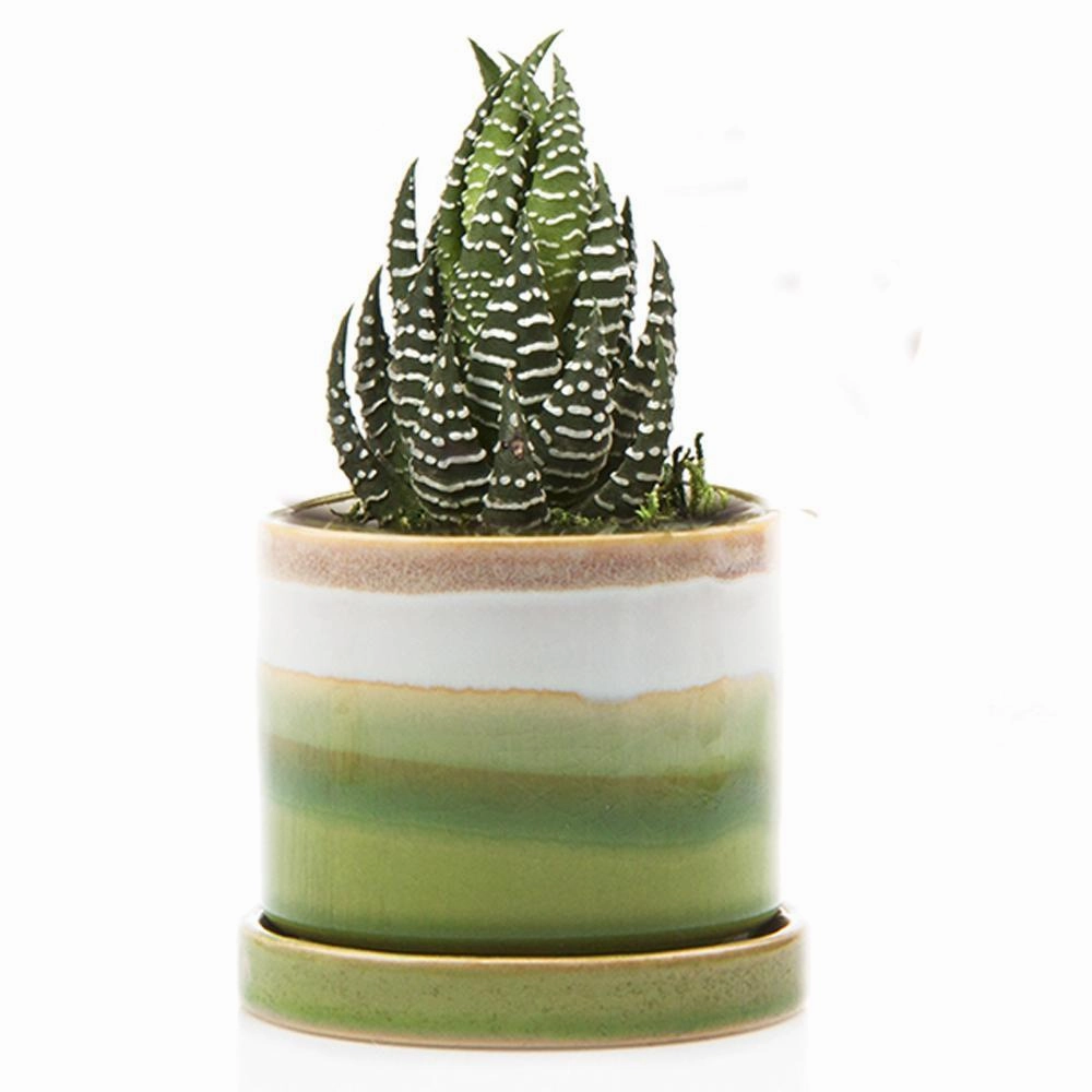 Small Minute Pot & Saucer