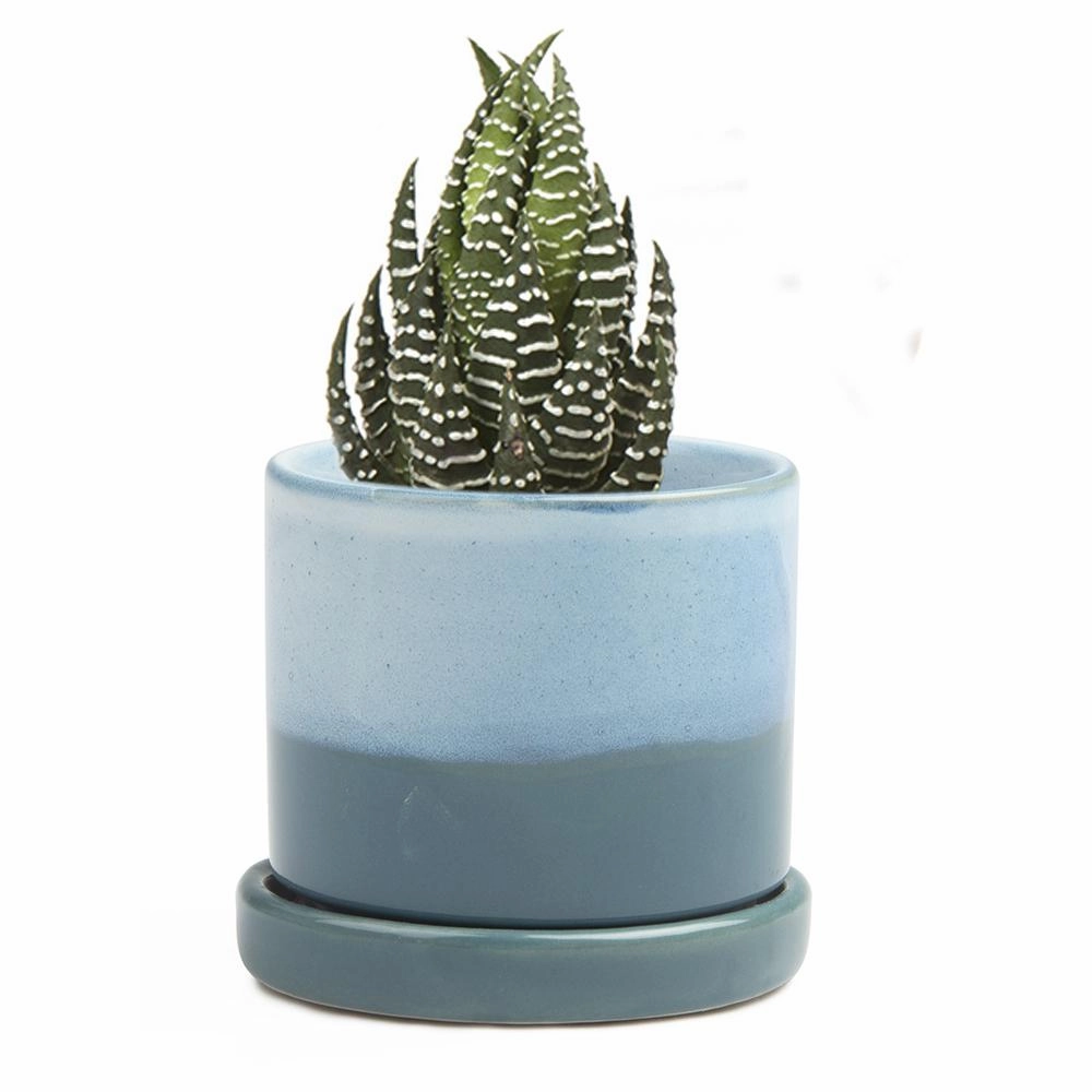 Small Minute Pot & Saucer