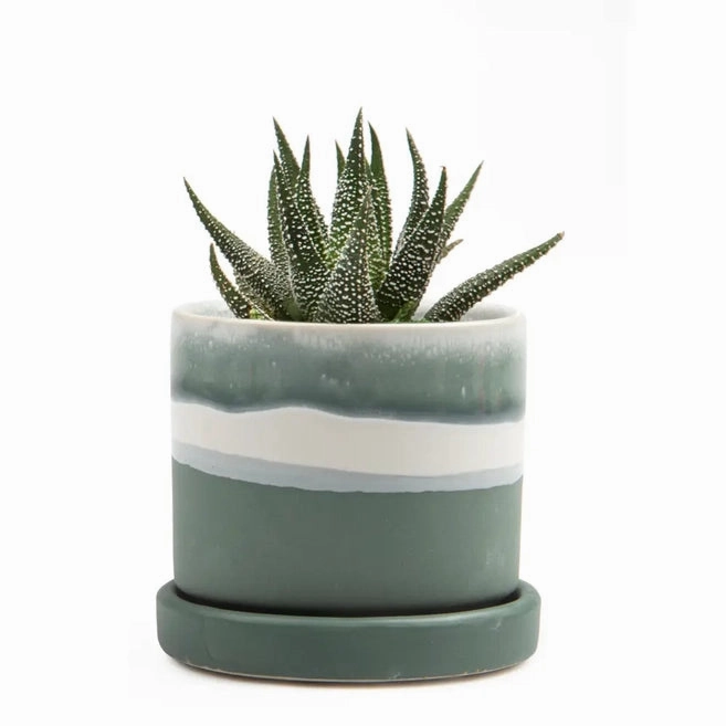 Small Minute Pot & Saucer