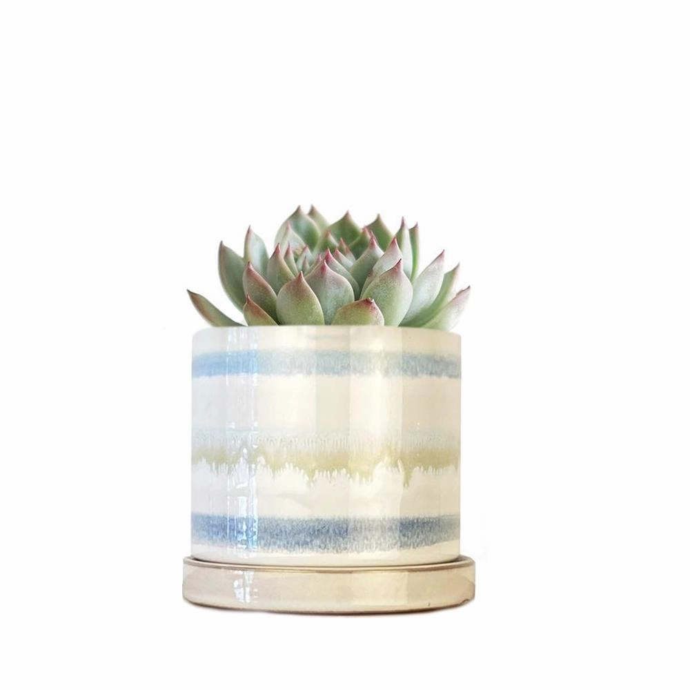 Small Minute Pot & Saucer