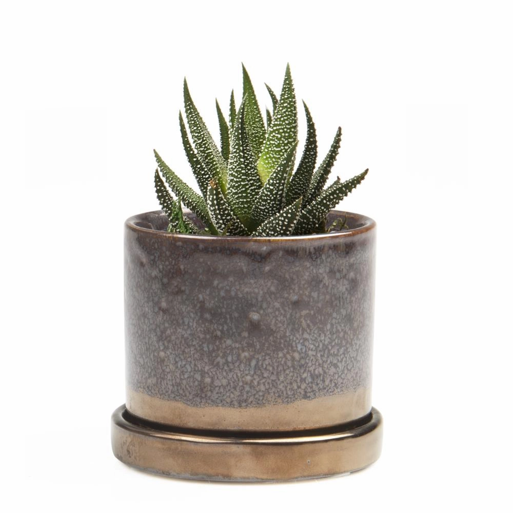 Small Minute Pot & Saucer
