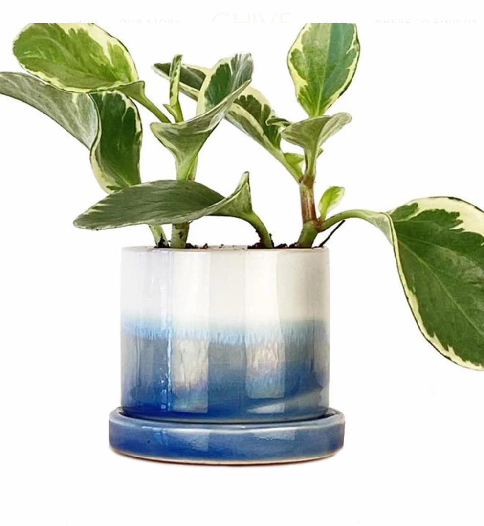 Small Minute Pot & Saucer