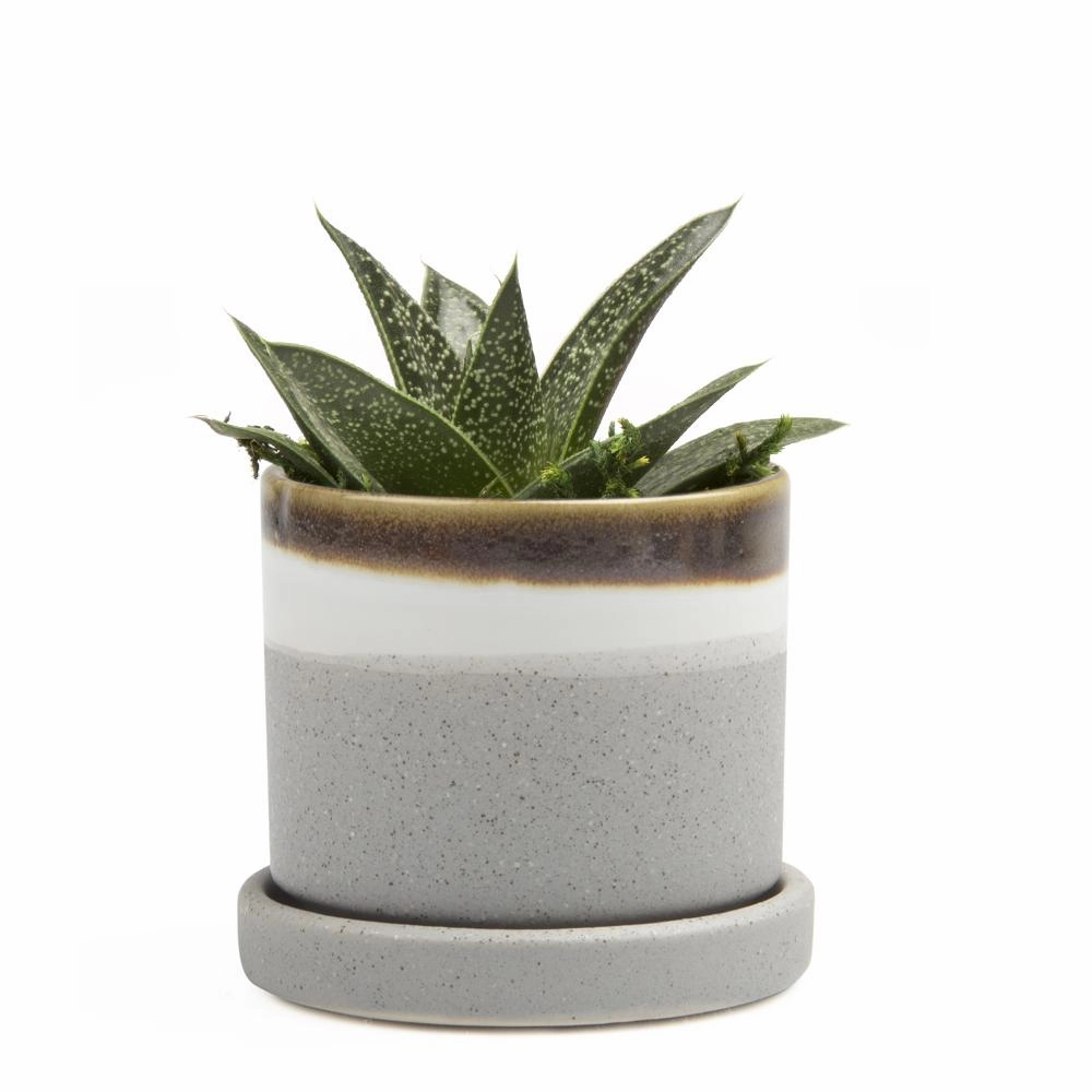Small Minute Pot & Saucer