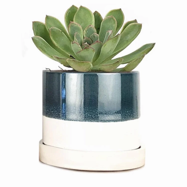 Small Minute Pot & Saucer