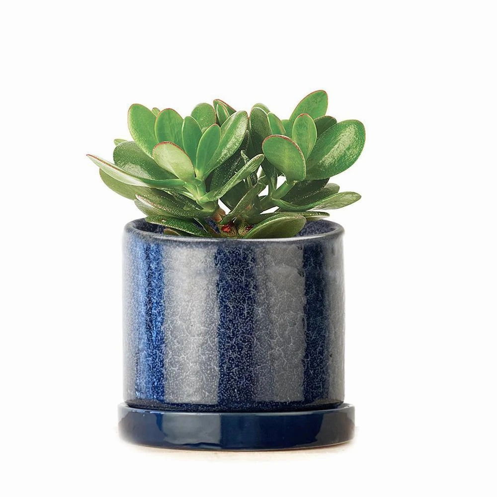 Small Minute Pot & Saucer
