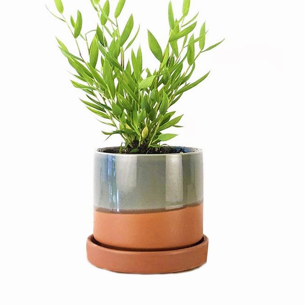 Small Minute Pot & Saucer