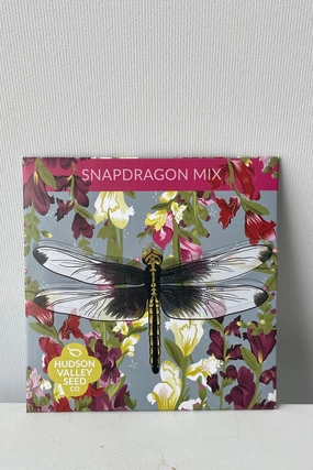 Snapdragon Mix Seeds Art Pack decorative flowerpot  