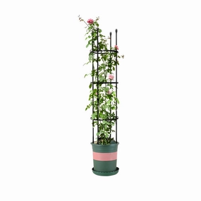 SOGA 133cm 4-Bar Plant Frame Stand Trellis Vegetable Flower Herbs Outdoor Vine Support Garden Rack PLANTTUBE133 cactus succulent plant  